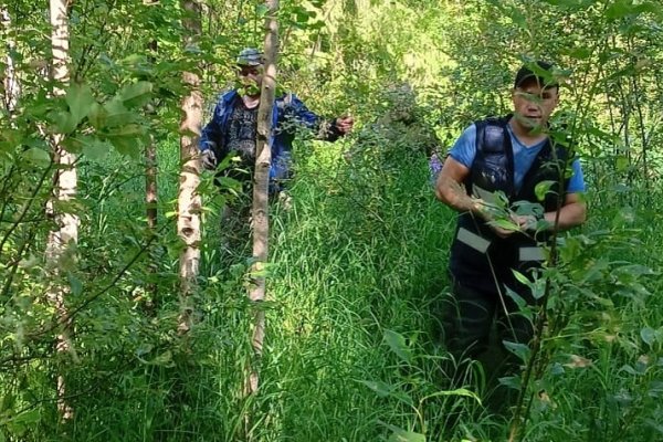 19-летний печорец ушел в лес и не смог дозвониться до родных из-за беспилотной опасности 