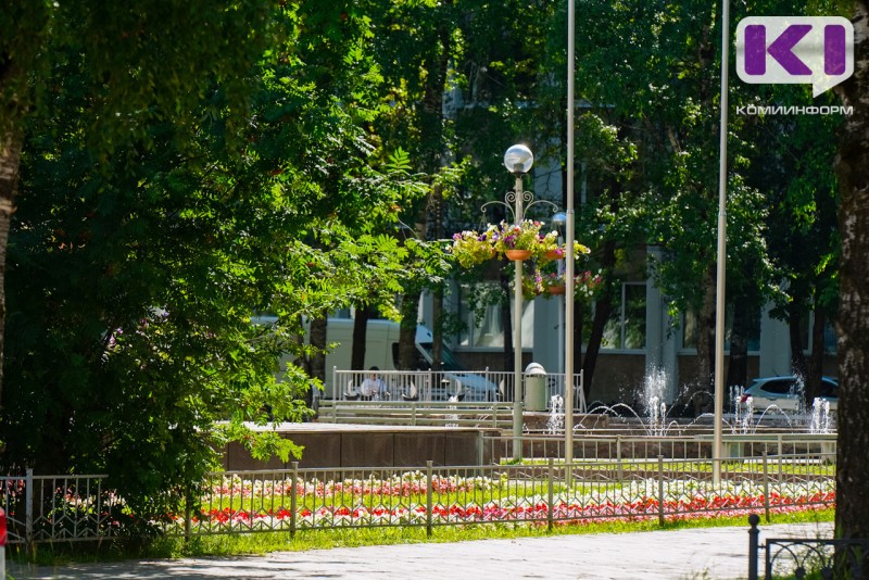 Погода в Коми 15 августа: северный ветер, +20°С