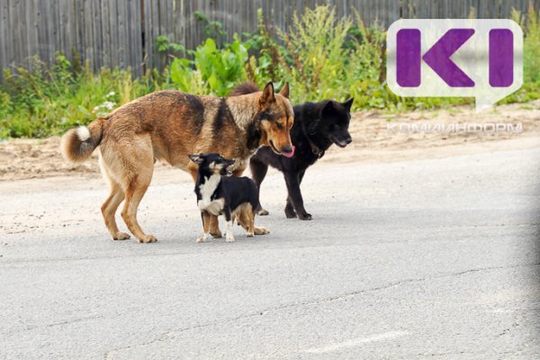 В Ухте бывший начальник управления ЖКХ вернул в казну полмиллиона

