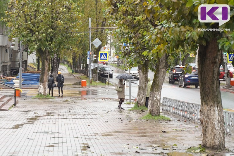 Погода в Коми 19 августа: местами дождь, гроза, +17...+22°С