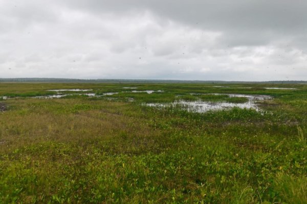 На непроходимых болотах под Усинском погиб охотник 