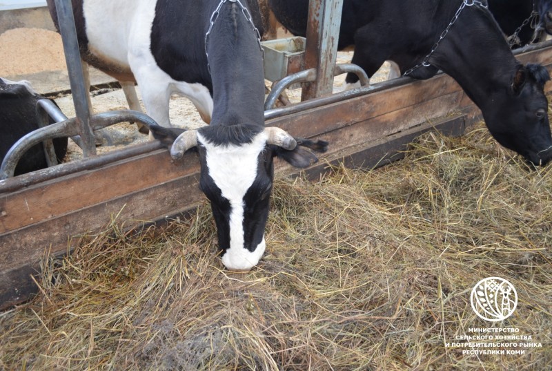 Аграрии Коми выполнили план по заготовке сена