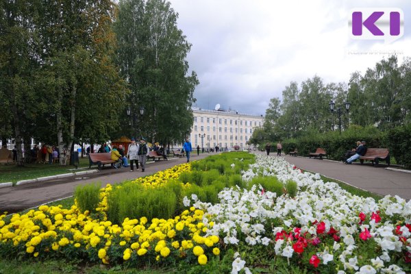 Погода в Коми 22 августа: дождь, в южных районах сильный, до +20°С