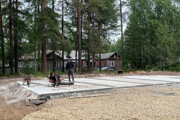 В новом сквере под Сыктывкаром поселят деревянных муравьев