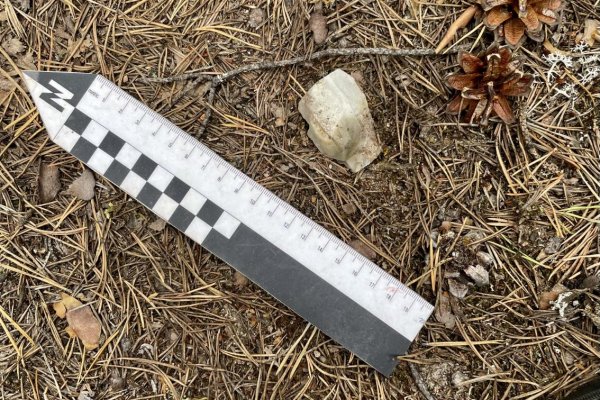 Ижма-Томский геоархеологический микрорайон открыл ученым датирующий материал о Коми