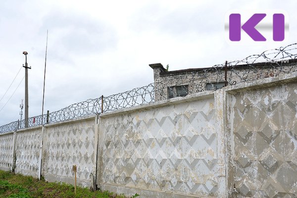 В Сыктывкаре осужденного оштрафовали за татуировки на теле

