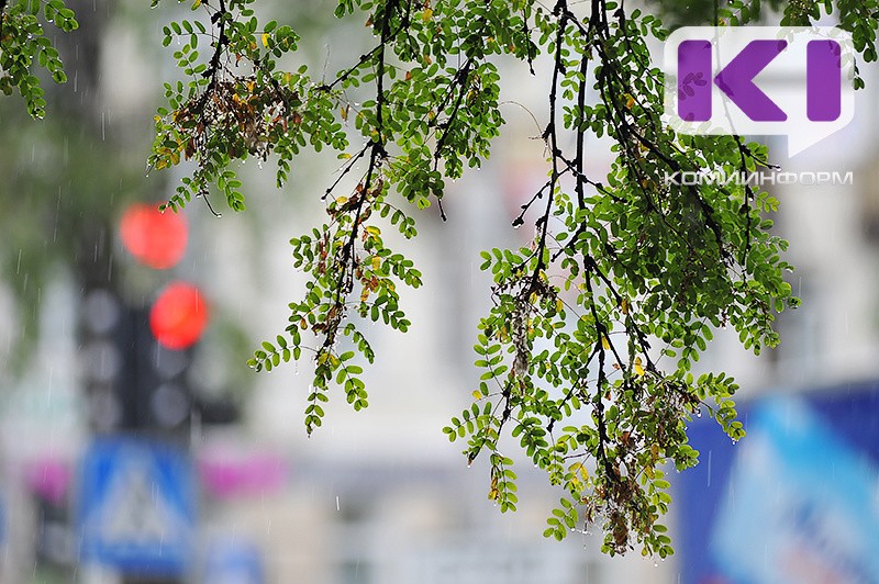 Погода в Коми 30 августа: небольшой дождь, +13...+18°С