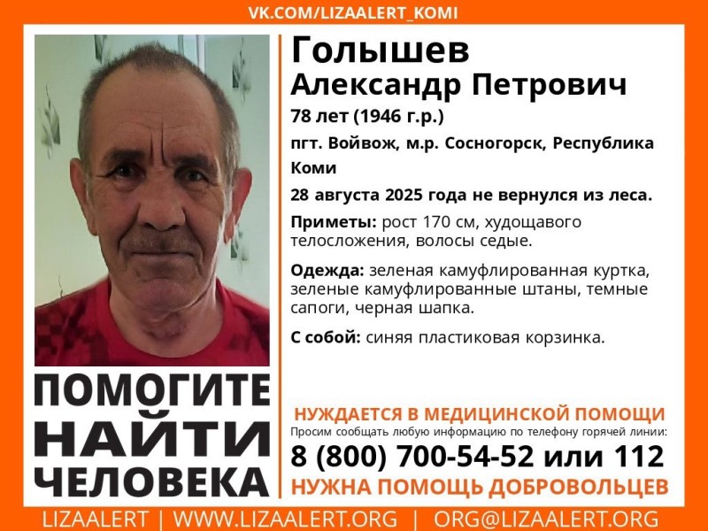 Под Сосногорском ищут 78-летнего мужчину, который ушел в лес и не вернулся
