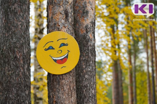 На неделе в Коми потеплеет до 20С