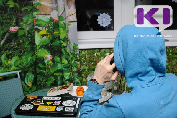 Мошенничество ради пятерых детей не стало смягчающим обстоятельством при наказании ухтинца 