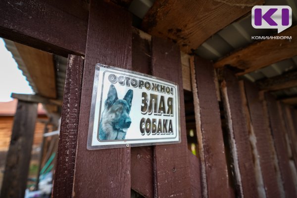 За причинение вреда собаке ижемец выплатит моральный вред	