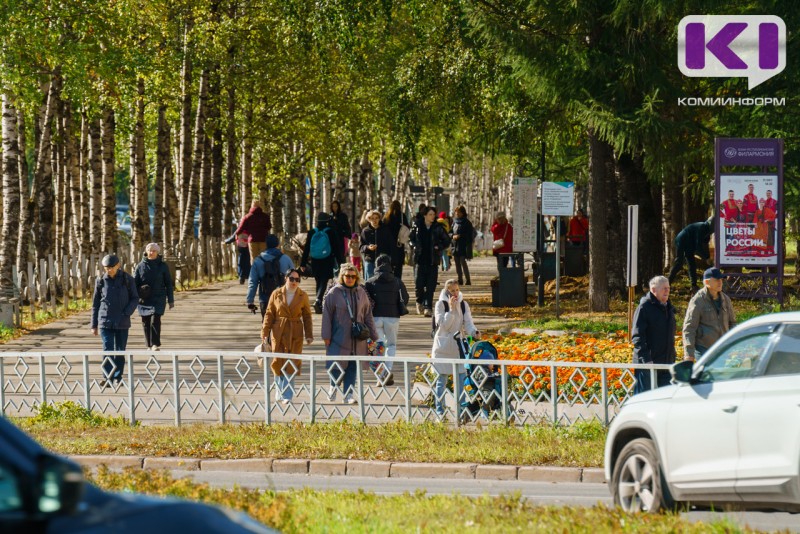 В Сыктывкаре статус добросовестного налогоплательщика для женщин важнее, чем для мужчин