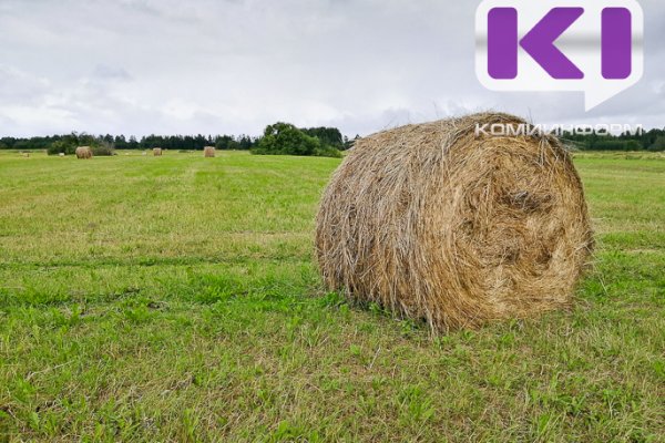 В Коми перевыполнили план по заготовке сена 

