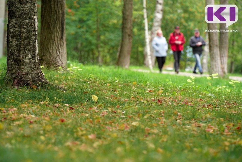 Погода в Коми 5 сентября: сухо и солнечно