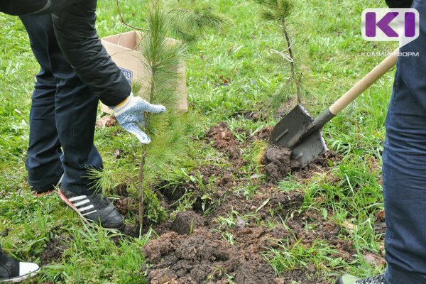 Как в Коми принять участие в акции 
