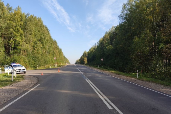 В Сыктывкаре разыскивают водителя, который насмерть сбил пешехода и скрылся