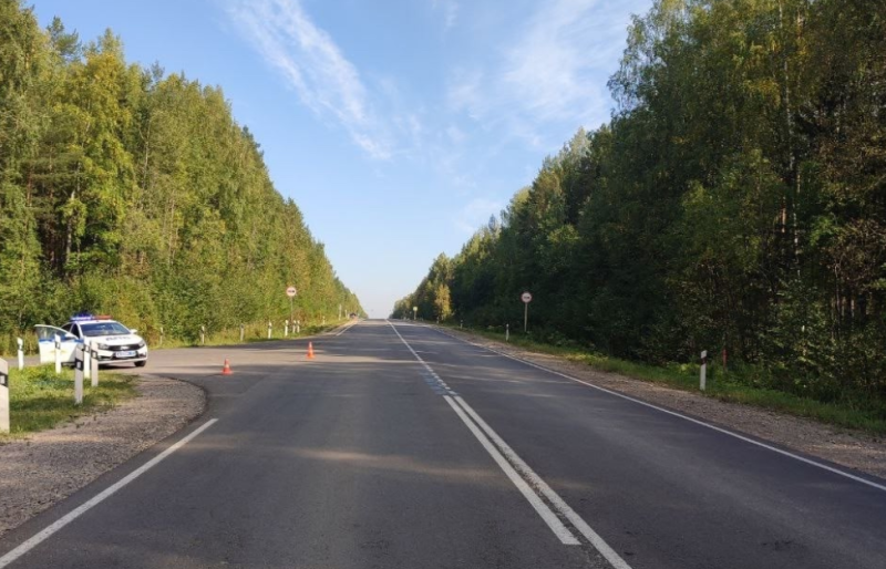 В Сыктывкаре разыскивают водителя, который насмерть сбил пешехода и скрылся