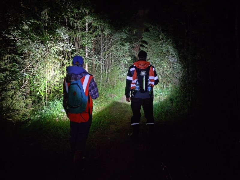 Волонтеры "ЛизаАлерт" за август нашли живыми 22 человека в Коми