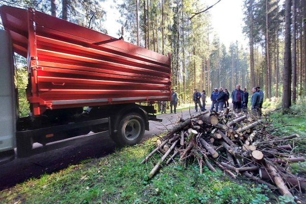 Мужская компания во главе с и.о мэра Сыктывкара присоединилась к уборке в Беличьем парке 