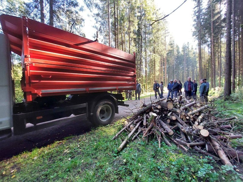 Мужская компания во главе с и.о мэра Сыктывкара присоединилась к уборке в Беличьем парке 