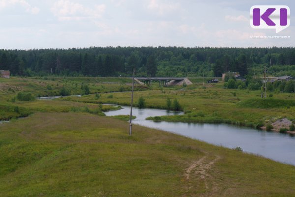 В Койгородском районе вторую неделю ищут пропавшую 72-летнюю женщину 
