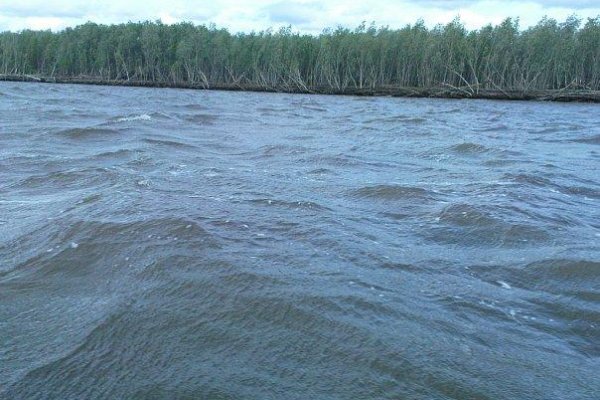 В Коми рыбинспекторы спасли утопающих на реке Печоре
