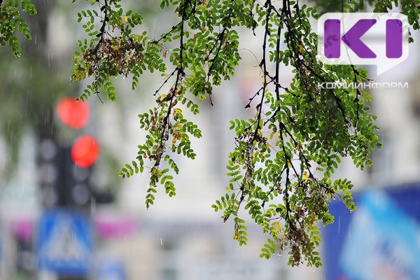 Погода в Коми 9 сентября: на востоке небольшой дождь, +14...+19°С