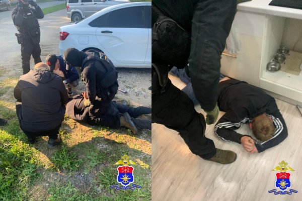 В Сыктывдинском районе транспортные полицейские выкурили наркодилеров из леса  