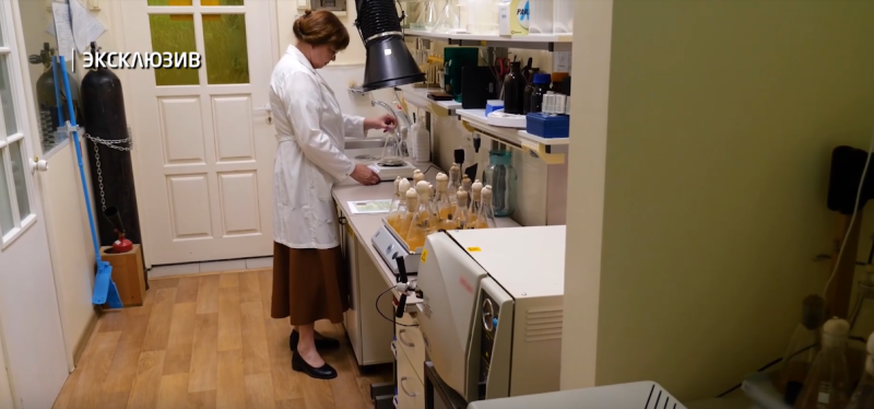 Ученые из Коми разработали уникальную биодобавку на основе кофейной шелухи