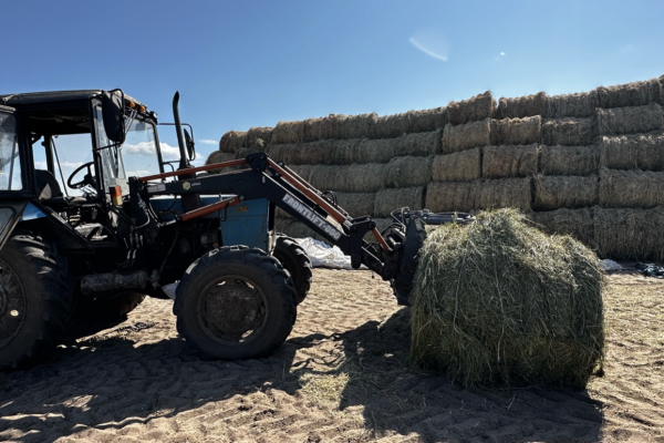 В Коми аграрии заготовили 89% кормов к зиме
