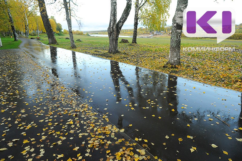 Погода в Коми 11 сентября: местами туман, в отдельных южных районах небольшой дождь