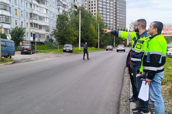 В Сыктывкаре на Тентюковской пересадят молодые деревья при обустройстве пешеходных пространств