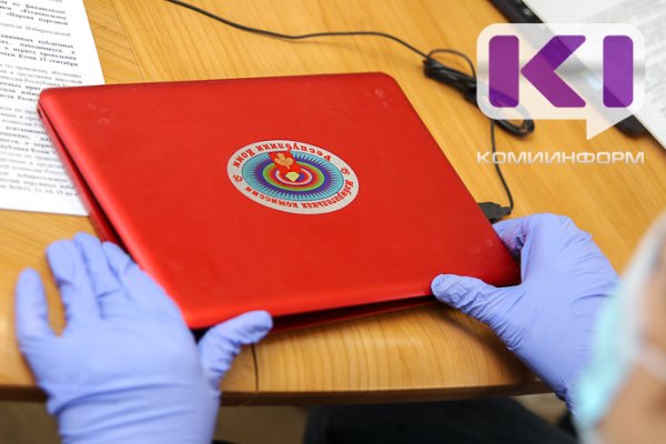 Жители Коми смогут проголосовать в СИЗО других регионов 