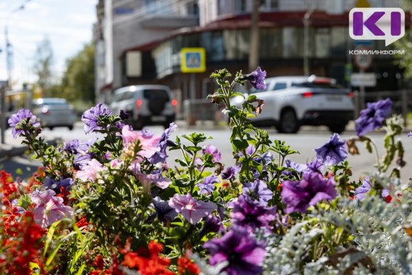Погода в Коми 14 сентября: в северных районах небольшой дождь, +12...+17°С