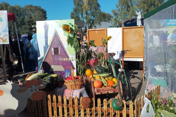 В Объячеве состоялась XVIII сельскохозяйственная ярмарка 