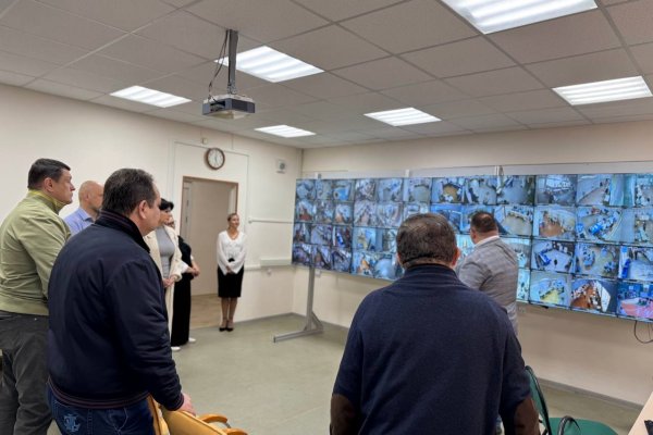 2100 наблюдателей и 284 камеры: Гольдштейн проверил организацию выборов в республике