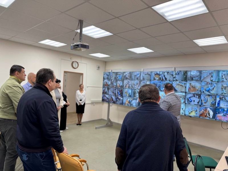 2100 наблюдателей и 284 камеры: Гольдштейн проверил организацию выборов в республике