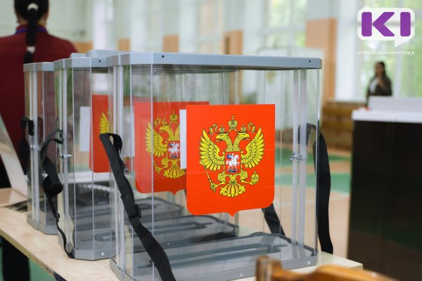 Обработано 40% протоколов УИК, у Ростислава Гольдштейна 72,8% голосов