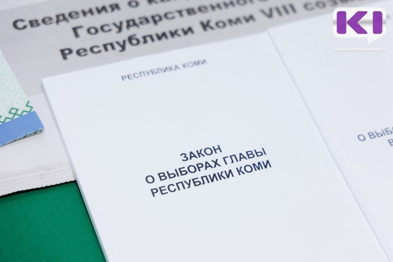 Обработан 91% протоколов УИК, Ростислав Гольдштейн набирает 71,6% голосов