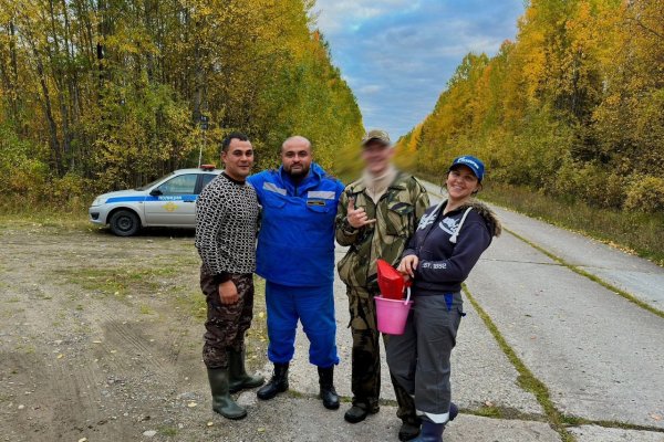 Девятерых грибников вывели из леса на выходных  в Коми 