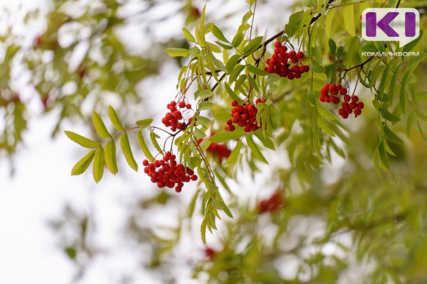 Погода в Коми 17 сентября: в южных районах без осадков, в северных - небольшой дождь