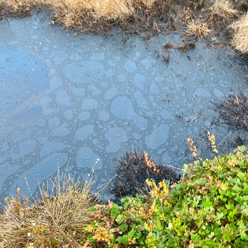 В Усинске завершено расследование уголовного дела по факту разлива нефтесодержащей жидкости

