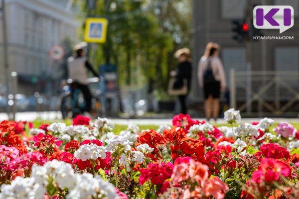 Погода в Коми 18 сентября: облачно, +17...+22°С