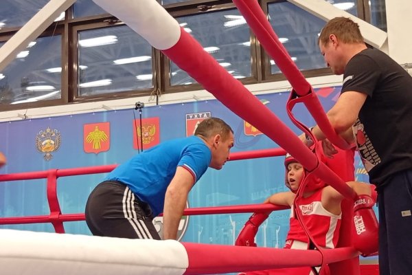 Ухтинские спортсмены показали отличные результаты на турнире по боксу