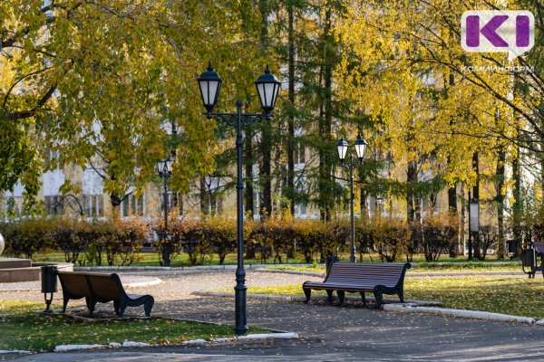 Погода в Коми 19 сентября: южный ветер, +18°С