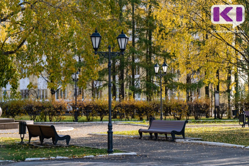 Погода в Коми 19 сентября: южный ветер, +18°С