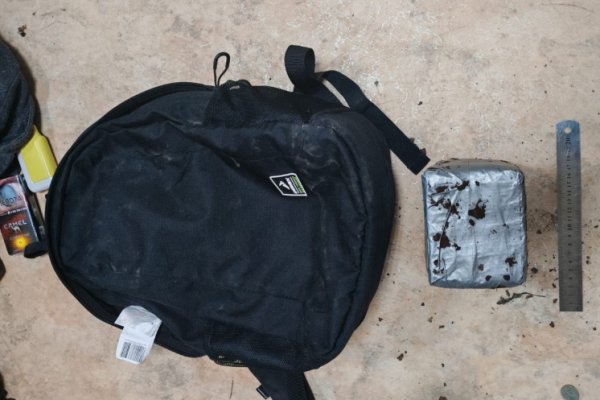 В районе эжвинских дач задержали подозреваемого в сбыте крупной партии гашиша

