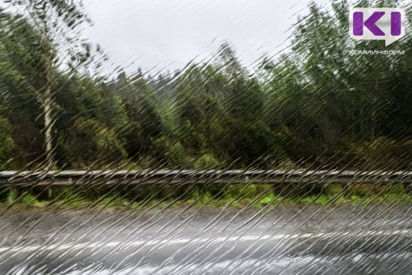В двух районах Коми ожидается сильный дождь