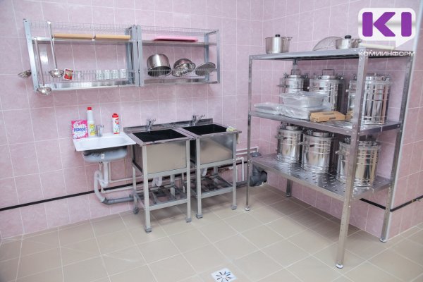 В Усть-Куломском районе детские сады и начальные классы школ закроют из-за вспышки сальмонеллеза