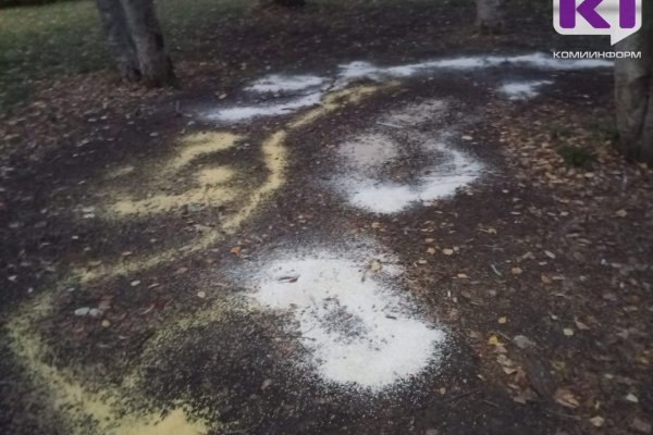 В Сыктывкаре вслед за голубями начали погибать воробьи 